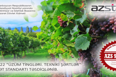 Üzüm tingləri ilə bağlı yeni dövlət standartı təsdiq edilib